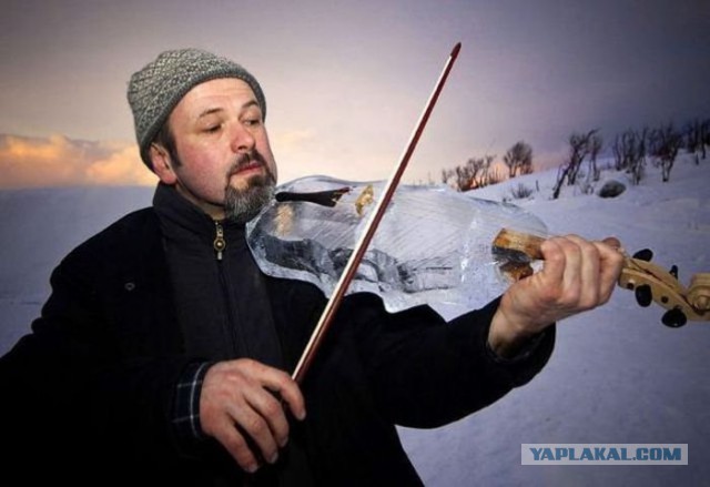 Картинки