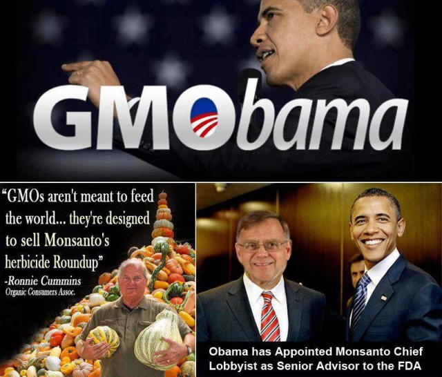 Monsanto собирается скупать украинские земли