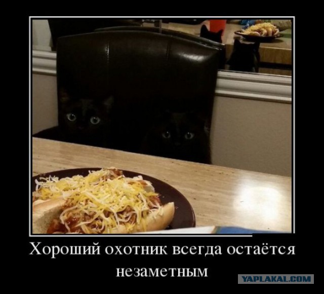 Демотиваторов пост