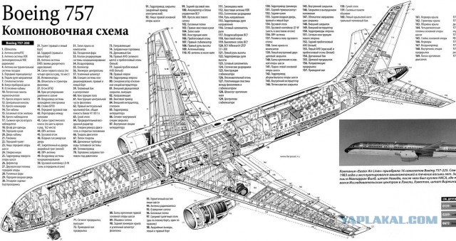 Зачем самолетам такие носы?