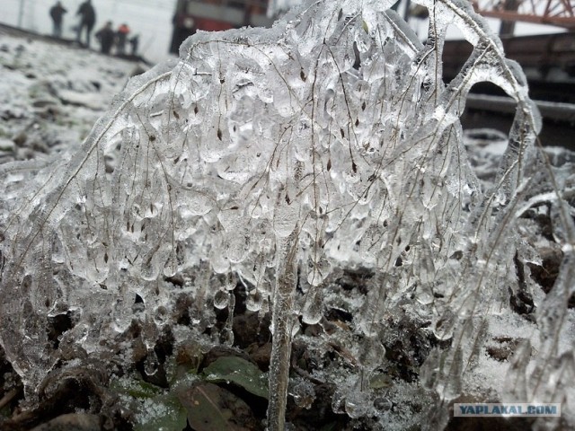 Ледяная зима