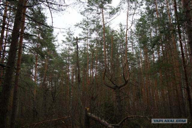 Фотопроект Best of Russia 2012