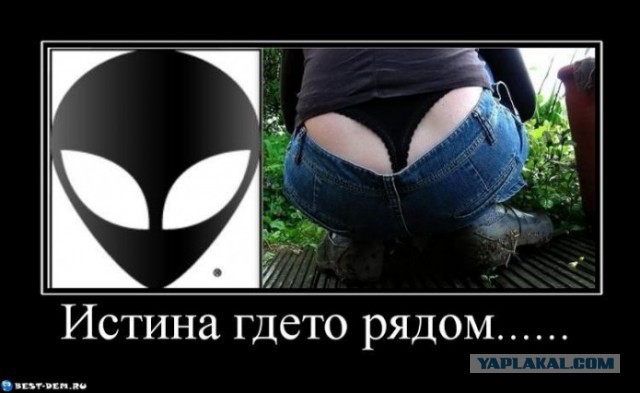 Подруга спалилась. На внимательность.