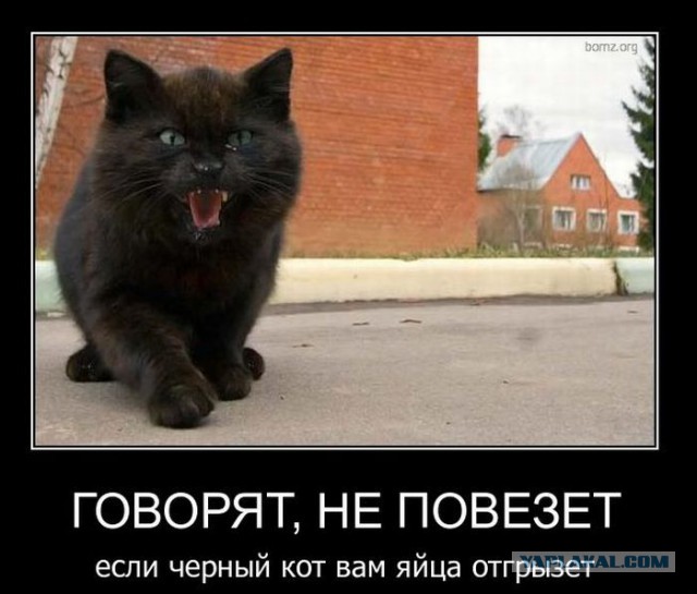 Минутка черного юмора на ЯПе