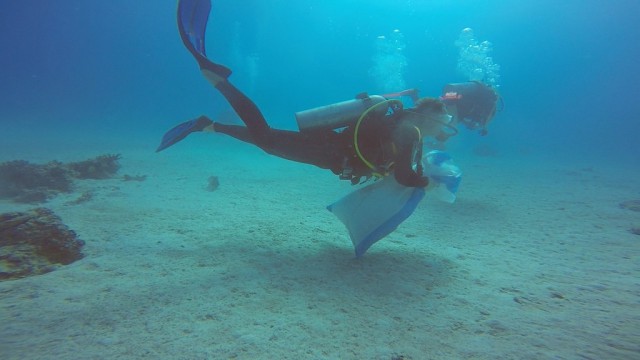 День очистки Красного моря