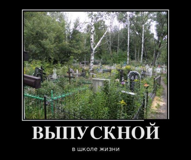 Подборка прикольных фото на пятницу