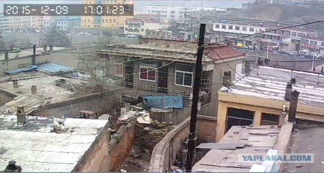 За что я люблю китайцев