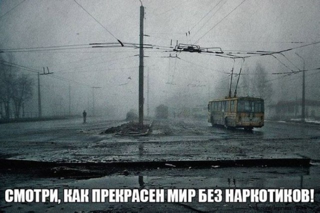 Картинки с надписями