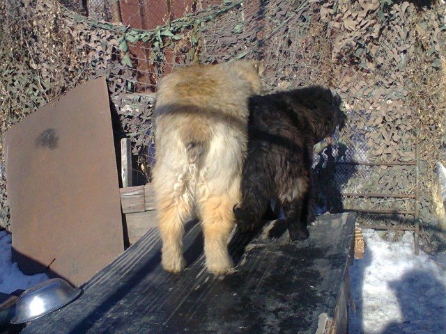 Всем нашим встречам,  увы, разлуки суждены...