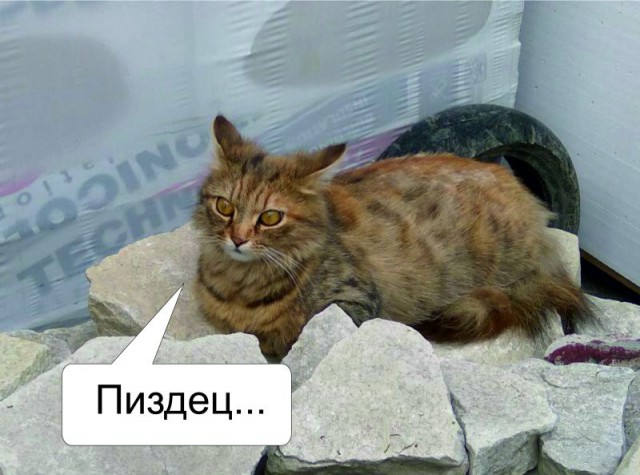 Мама, меня фура убила - 2