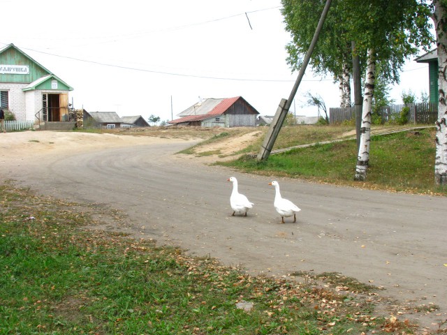 Подборка "тёплых, уютных, домашних" фотографий. Часть 2