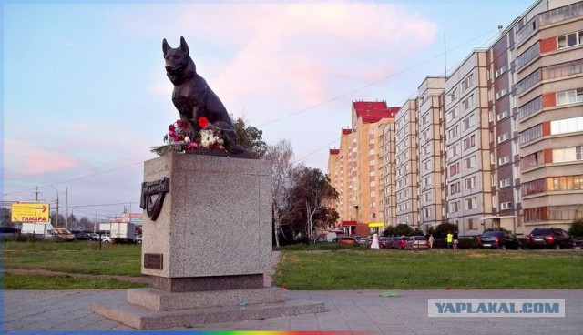 Другая Россия