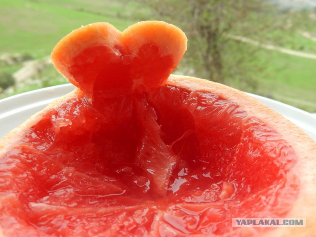 Фуршетный закусочный стол