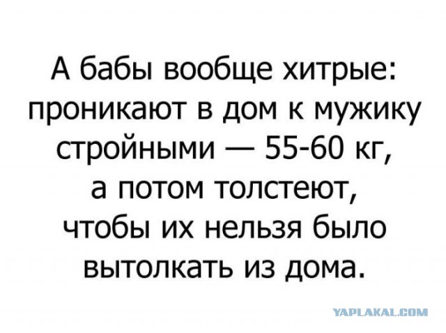 Порция картинок