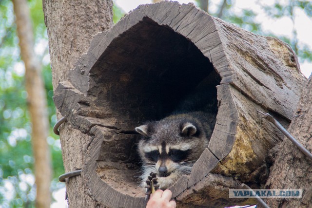 Недавно купил фотоаппарат! Хочу похвастаться!