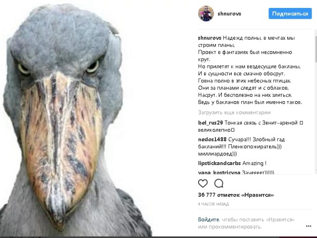 Бакланы и стадион