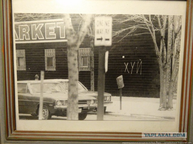 Просто вспомнил о нем. Сергей Довлатов