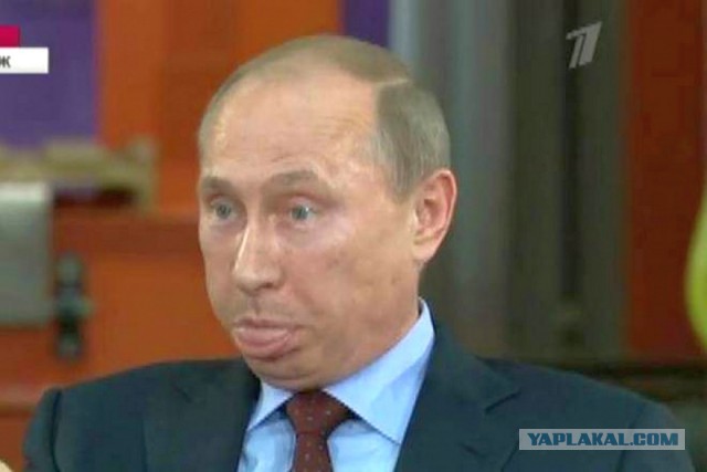 Статья, о которой не знает Путин: почему фермеру из Зауралья грозит срок за GPS-трекер для коровы