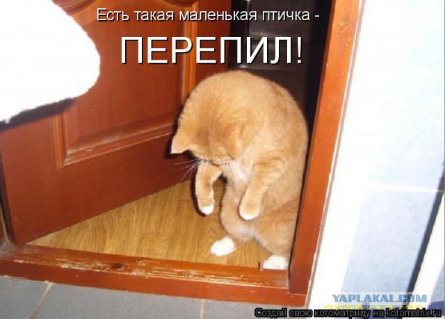 Уснул на вписке, coub