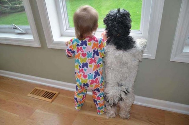 Фото, перед просмотром которых нужна валерьянка