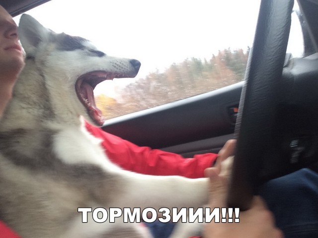 Нестандартный юмор