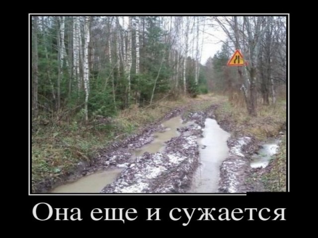 Картинки по-приколу