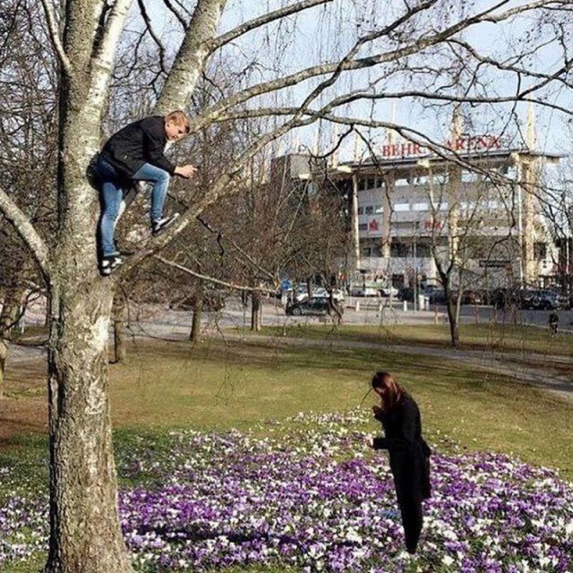 Лента прикольных картинок