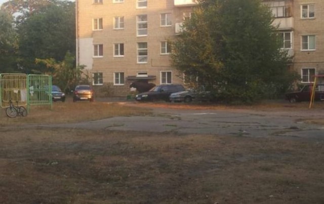 Лоси устроили драку за самку прямо во дворе дома