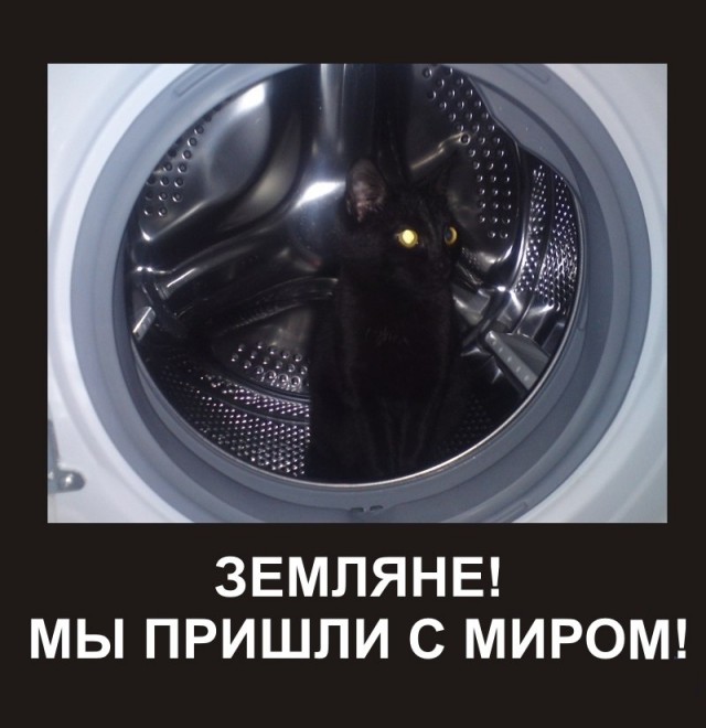 КОТОВТОРНИК (6.03.2012)