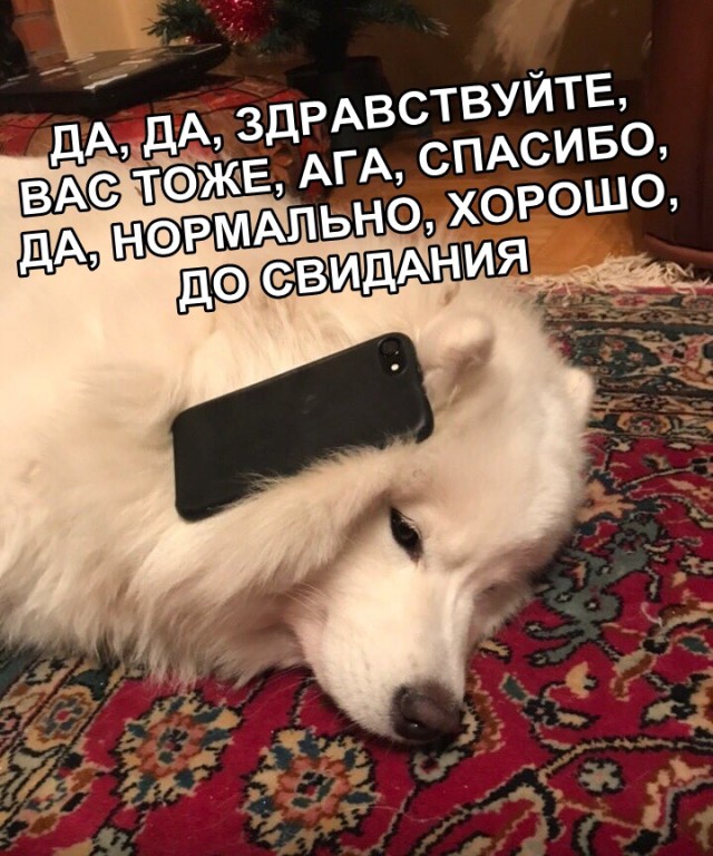 Прикольные картинки абавсём