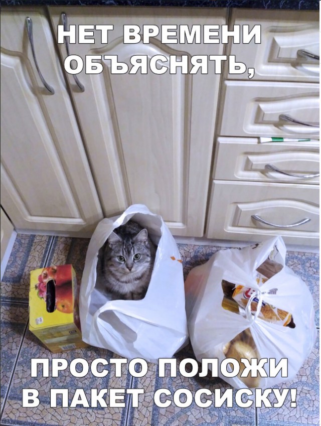 Нестандартный юмор