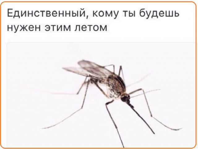 Анекдоты, истории и картинки с надписями