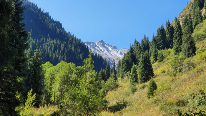 Деревенская Америка - 5