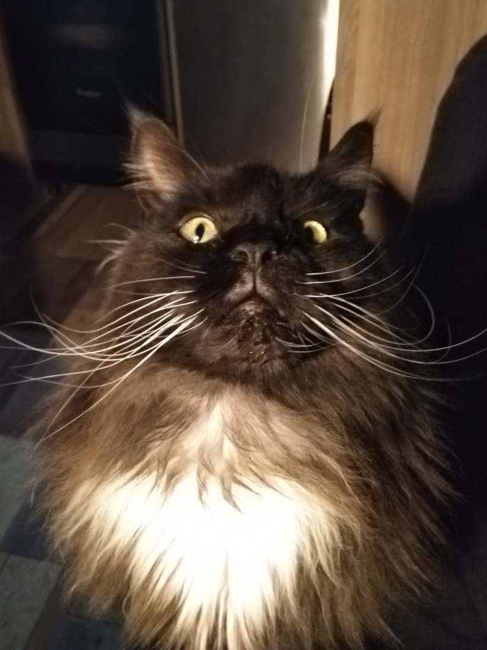 Paзнoвиднocти тьмы