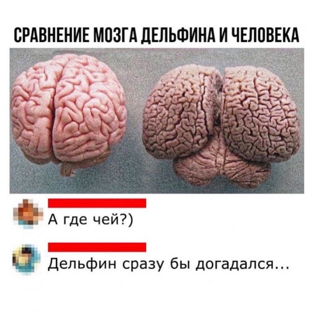 Комментарии к постам в разных группах, которые вызвали улыбку