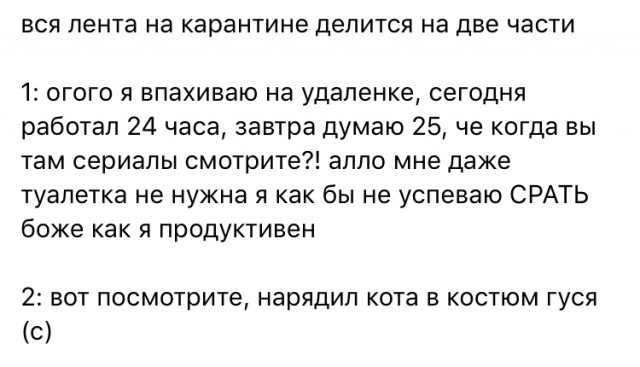 Пандемия . Коронавирус.  Россия. Последняя информация. Часть - 10.