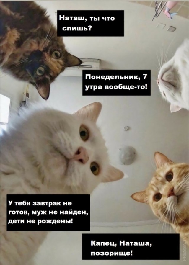 Наташа, вставай!