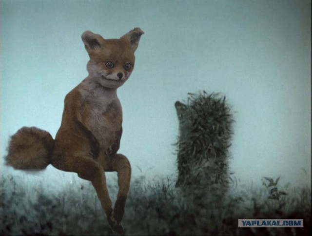 Таксидермия + наркомания