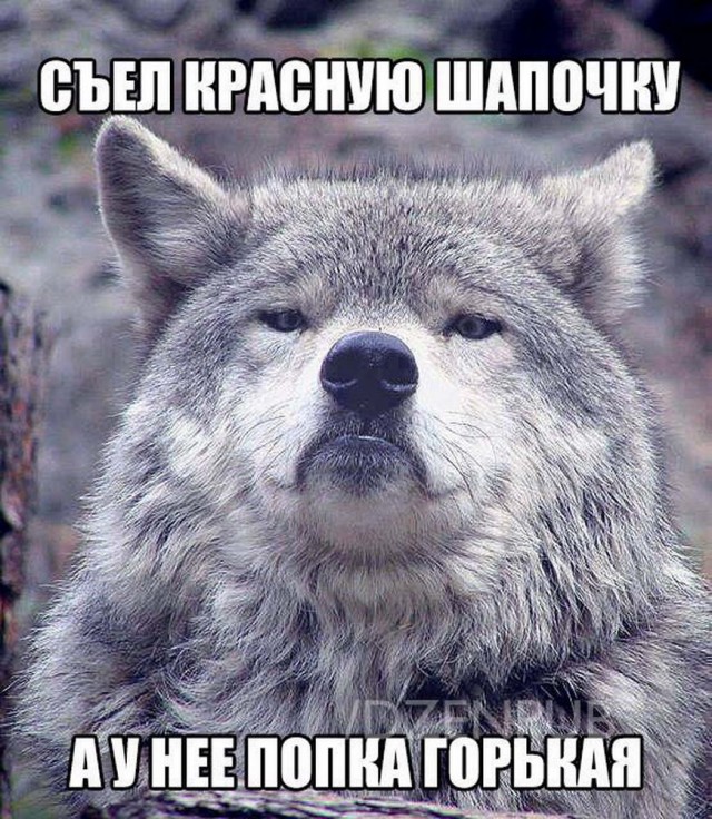Разные картинки 24.01.21