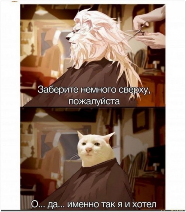 Картинки и мемы для настроения 12.10.2021