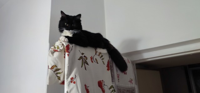 Вторник. Котэ. Пора