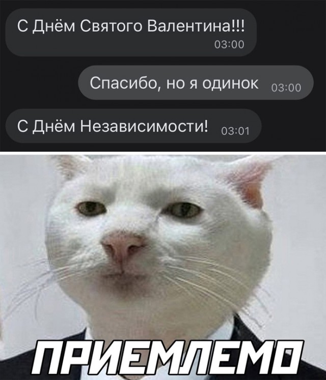 Картинки и мемы для настроения - 15