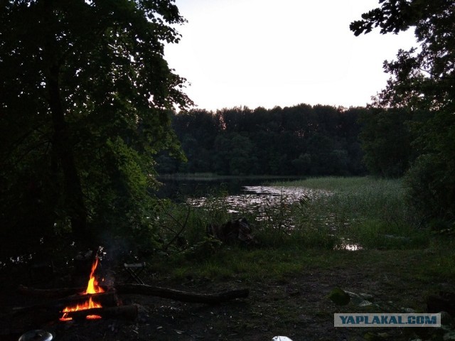 Рыбаки есть на сайте?