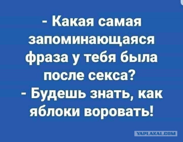 Пятница. И немного слегка пошлых картинок с надписями и без 16+ (22.04)