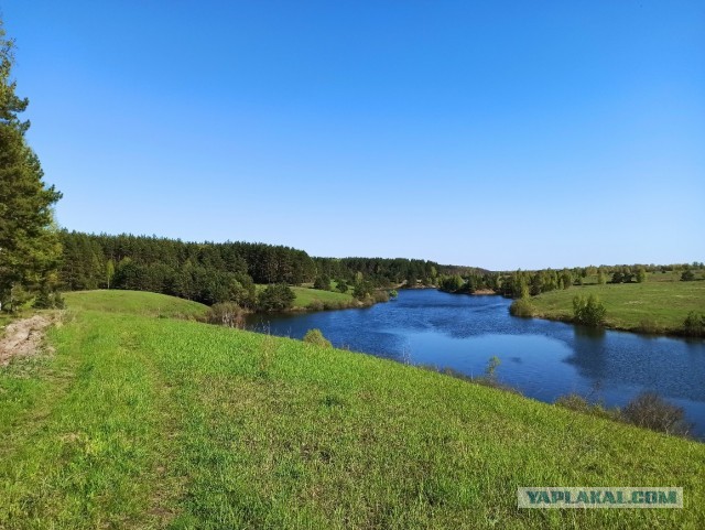 Пандемия. Коронавирус и съехавшие крыши. Россия и мир. Часть 34.