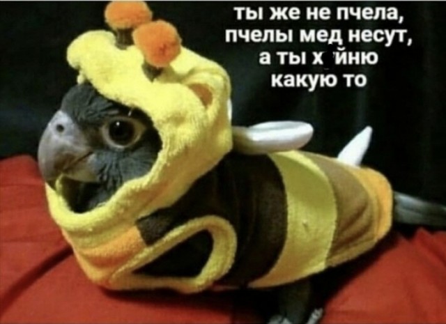 «Устал быть нянькой для здоровой женщины»: откровения нашего читателя, который бросил жену-красавицу и ушел в никуда