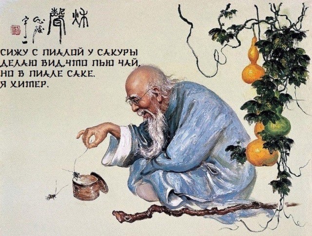Так себе картинки 06.08.22