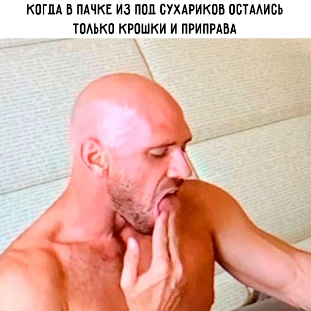 Весёлый полтишок 08.08.22