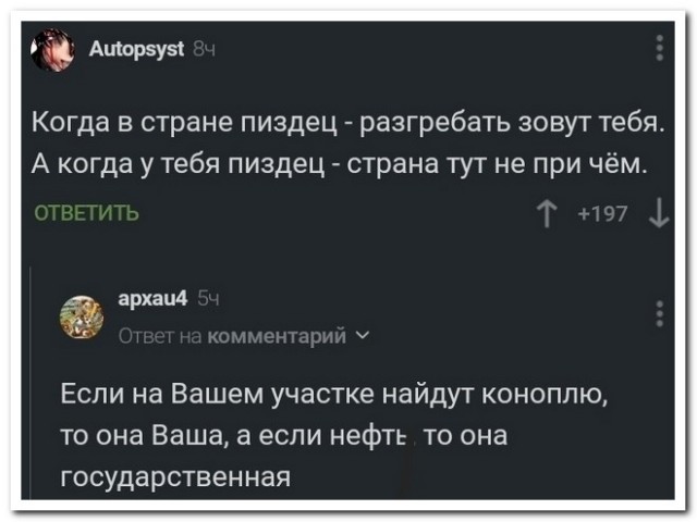 Забавные комментарии из социальных сетей (14.11.22)