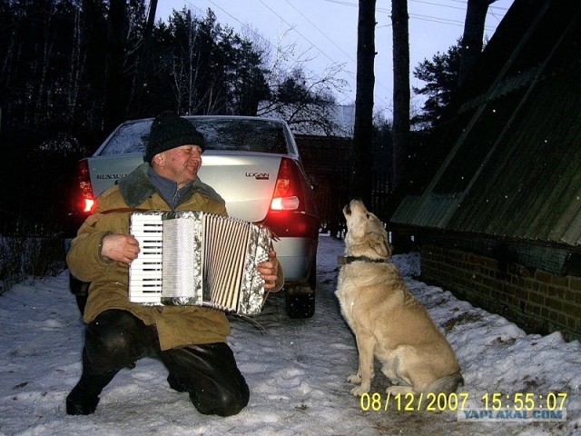 Баян, немного о нем самом!